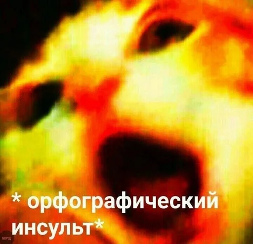 СМС скриншот животное