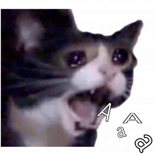 Стикер dorimy - 1