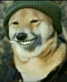 Sticker Dormeme 🇺🇦 @stickers_main - 6