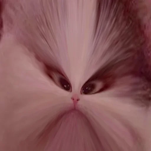 домашняя кошка кошка кошки малого и среднего размера