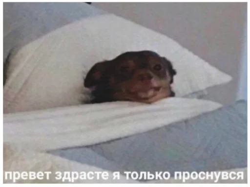 Sticker doshikstickers - 1