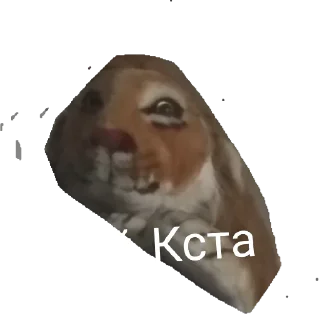 Стикер Doshik stickers - 11