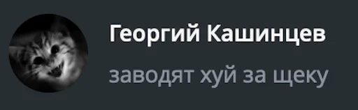 Sticker double_bro - 1