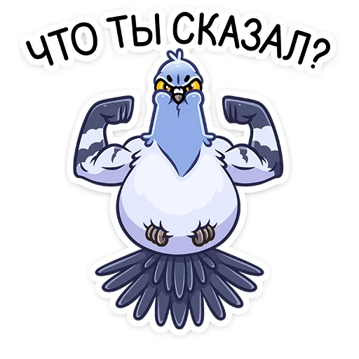 bird cartoon clipart