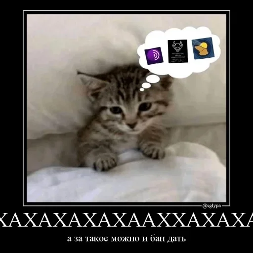 Sticker doxbinha - 1