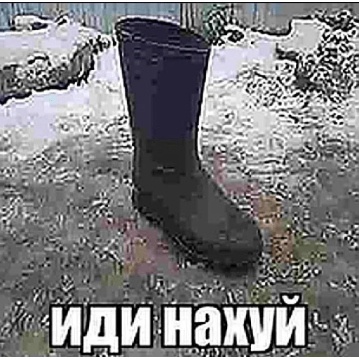 да иди нахуй - 