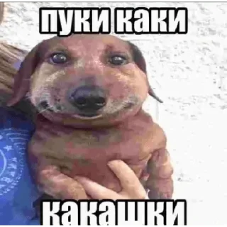 Стикер да иди нахуй - 1