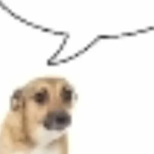 Sticker dqnlqaCbOIVOKL_by_stickers_stealer_bot - 1