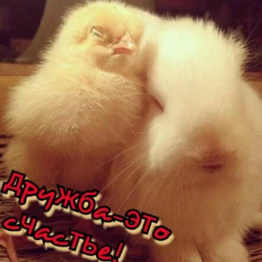 Sticker drECQGEWtPysZjgAR_by_stickers_stealer_bot - 1