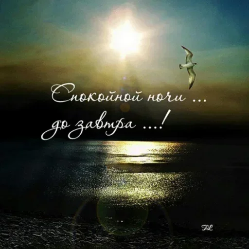 Стикер drECQGEWtPysZjgAR_by_stickers_stealer_bot - 1