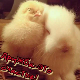 Sticker Больше стикеров 👉🏻 @stickertg4 - 2