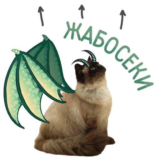 Стикер dragoncats - 1