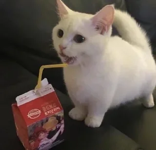 drakonovva - млекопитающее