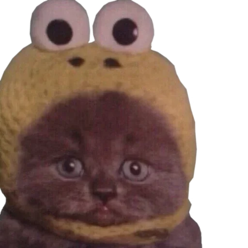 животное кошки малого и среднего размера мультфильм