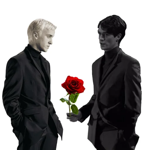 clothing rose person