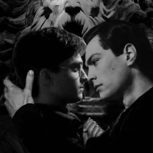 human face man person