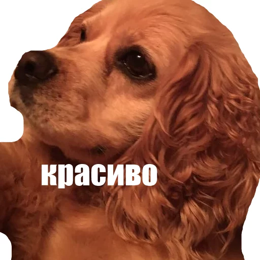 Sticker Dreamcast - 11