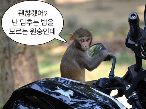 Sticker drgrlkns - 1