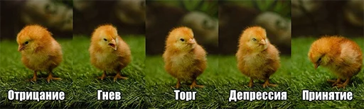 Sticker drgrlkns - 1