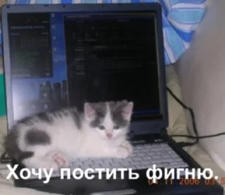 Стикер Креатив брать будете? @solomatovajuly - 2