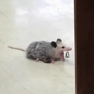 Стикер Креатив брать будете? @solomatovajuly - 8