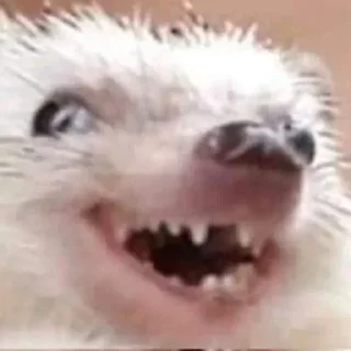 Стикер Креатив брать будете? @solomatovajuly - 1