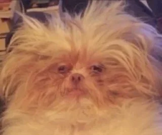 Стикер Креатив брать будете? @solomatovajuly - 3