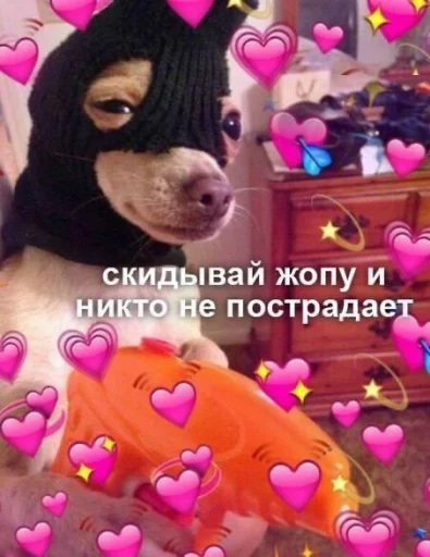 игрушка собака плюш