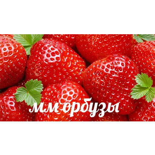 фрукт ягода клубника