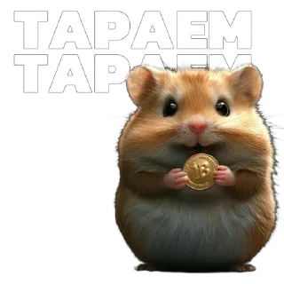 Стикер Больше стиков тут: @stikery4 - 9