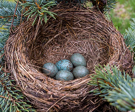 Стикер drozdyahaha - 1