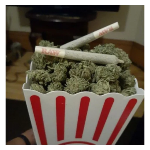 Стикер 𝐃𝐫𝐮𝐠𝐬.𝐓𝐕𝐃 - 5