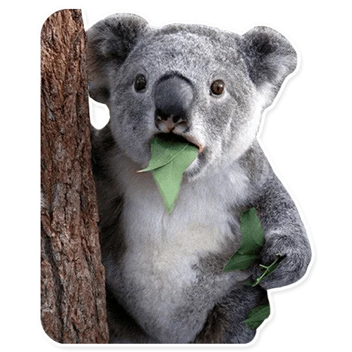 Стикер Дружки-Пирожки - 7