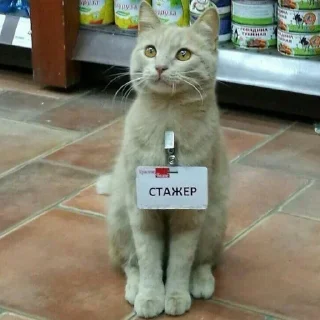 Стикер дрисня - 3