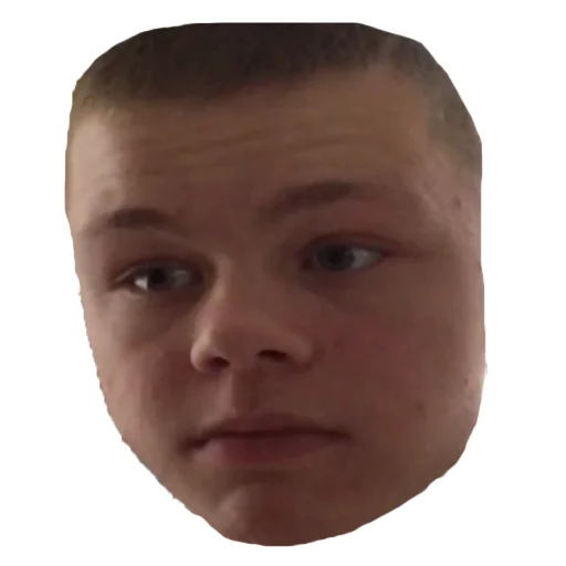 forehead human face eyebrow