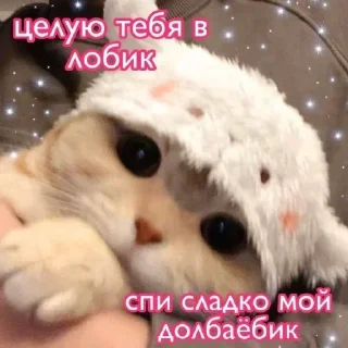 Стикер @anime_stickerr - 4