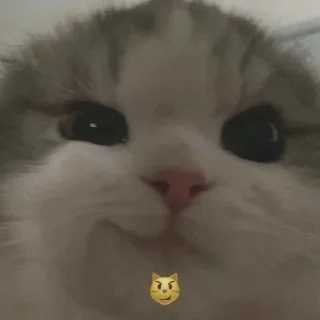 Стикер @anime_stickerr - 9