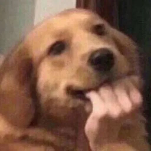 Sticker Люблю тебя 💗 (Created By: @StikerProBot) - 5