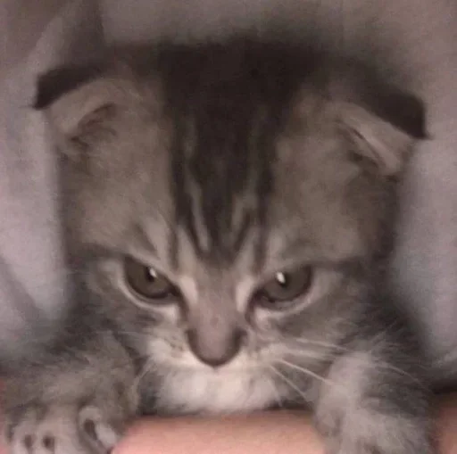 Sticker Люблю тебя 💗 (Created By: @StikerProBot) - 0