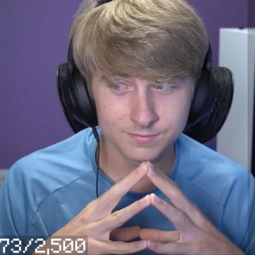 Стикер dsmp.jpeg by @dreamsmpnews - 10