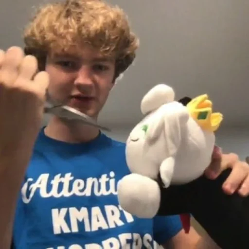 Стикер dsmp.jpeg by @dreamsmpnews - 6