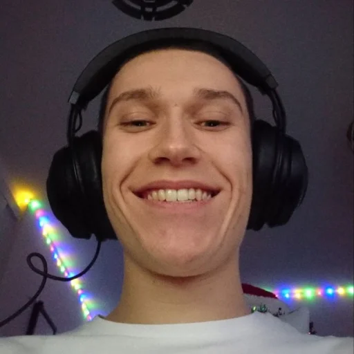 Стикер dsmp.jpeg by @dreamsmpnews - 3