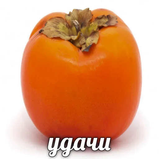 Стикер dsrfhertyherther6t - 1