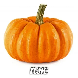 Sticker Больше стикеров тут: @stik_p0 - 0