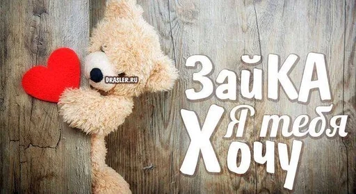 cartoon teddy bear stuffed toy