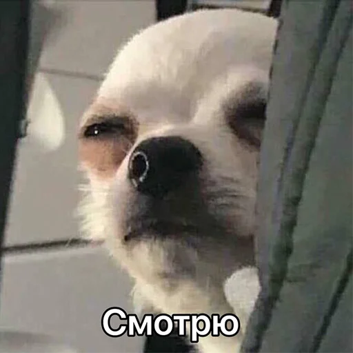 Sticker dtp_urgent - 1