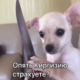 Стикер ДТП - 0