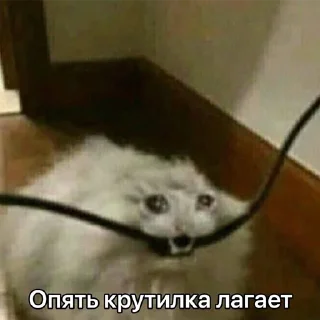 Стикер ДТП - 1