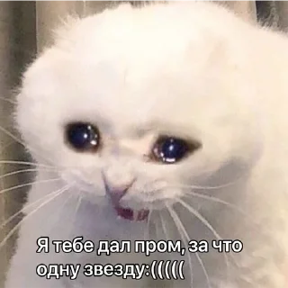 Стикер ДТП - 9