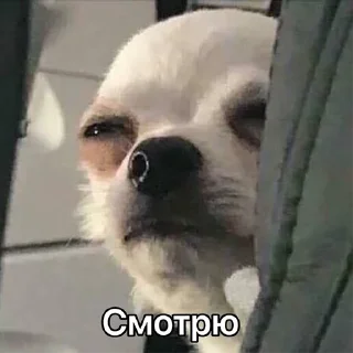 Стикер ДТП - 10